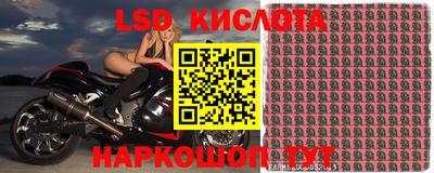 гидра Шебекино