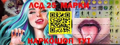 гидра Шебекино